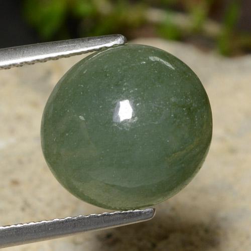 Jadeíta verde natural 7,03ct, corte redondo, translúcido