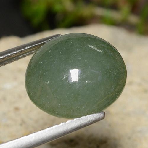 Jadeíta verde natural 7,03ct, corte redondo, translúcido