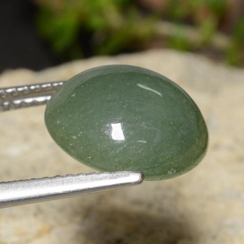 Jadeíta verde natural 7,03ct, corte redondo, translúcido