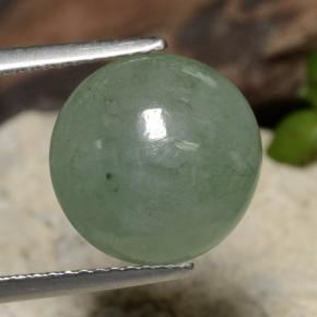 Jadeíta verde natural 6,92ct, corte redondo, translúcido