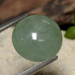 Jadeíta verde natural 6,92ct, corte redondo, translúcido