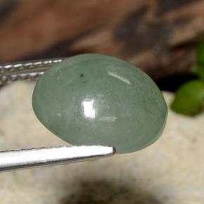 Jadeíta verde natural 6,92ct, corte redondo, translúcido