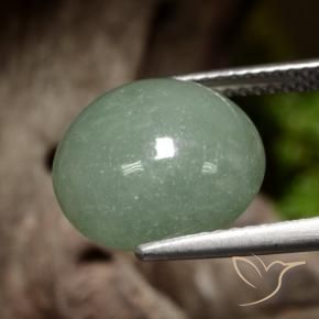 Jadeíta Verde médio Natural 8.13ct, Redondo, Translúcido