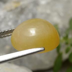 jadeita Amarelo Dourado Natural 7.08ct, Corte Oval, Translúcido