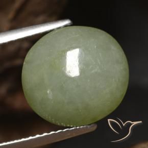 Jadeíta verde quente Natural 5.65ct, oval, Translúcido