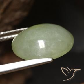 Jadeíta verde quente Natural 5.65ct, oval, Translúcido