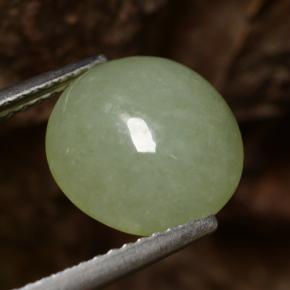 Jadeíta verde natural 4,64ct, corte redondo, translúcido