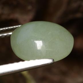 Jadeíta verde natural 4,10ct, corte redondo, translúcido