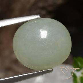 Jadeíta Luz verde Natural 4.89ct, oval, Translúcido