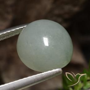 Jadeíta Verde Floresta Pálido Natural 6.51ct, Redondo, Translúcido