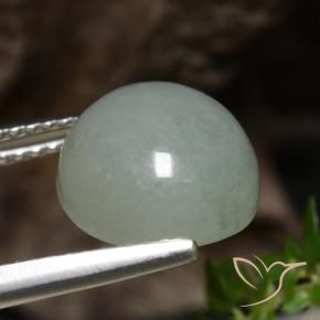 Jadeíta Verde Floresta Pálido Natural 6.51ct, Redondo, Translúcido