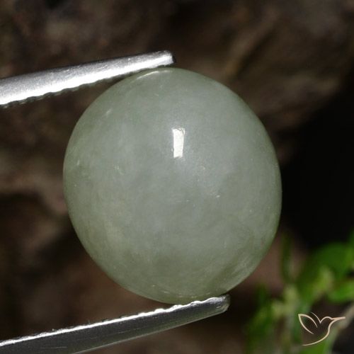 6.92ct Natural Verde médio Jadeíta, oval, Translúcido