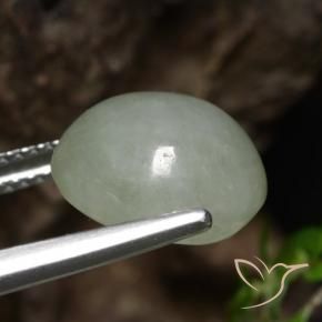 Jadeíta Verde médio Natural 6.92ct, oval, Translúcido