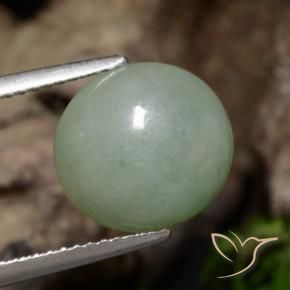 Jadeíta Verde acinzentado Natural 5.39ct, oval, Translúcido