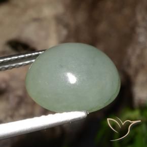 Jadeíta Verde acinzentado Natural 5.39ct, oval, Translúcido