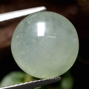 Jadeíta verde natural 5,77ct, corte redondo, translúcido