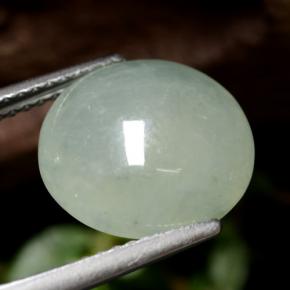 Jadeíta verde natural 5,77ct, corte redondo, translúcido