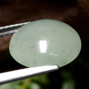 Jadeíta verde natural 5,77ct, corte redondo, translúcido