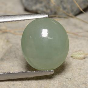Jadeíta verde natural 3,68ct, corte oval, translúcido