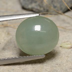 Jadeíta verde natural 3,68ct, corte oval, translúcido