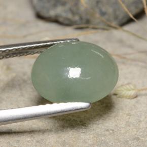 Jadeíta verde natural 3,68ct, corte oval, translúcido