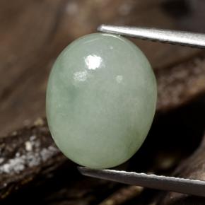 Jadeíta verde natural 5,78ct, corte oval, translúcido