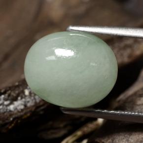 Jadeíta verde natural 5,78ct, corte oval, translúcido