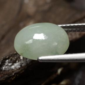 Jadeíta verde natural 5,78ct, corte oval, translúcido