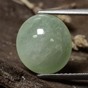 Jadeíta verde natural 6,47ct, corte oval, translúcido
