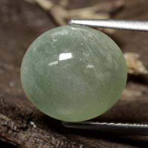 Jadeíta verde natural 6,47ct, corte oval, translúcido