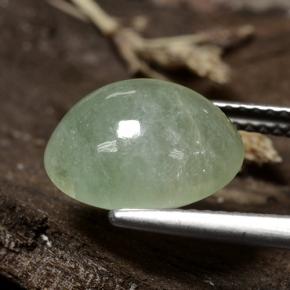 Jadeíta verde natural 6,47ct, corte oval, translúcido