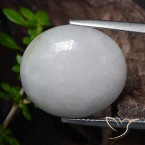 Jadeíta cinza médio Natural 18.56ct, oval, Translúcido