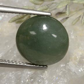 Jadeíta verde natural 6,91ct, corte redondo, translúcido