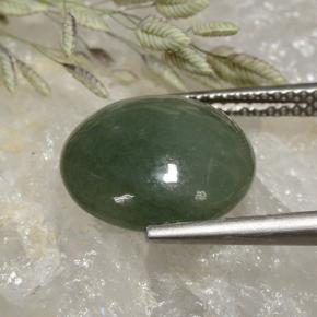 Jadeíta verde natural 6,91ct, corte redondo, translúcido