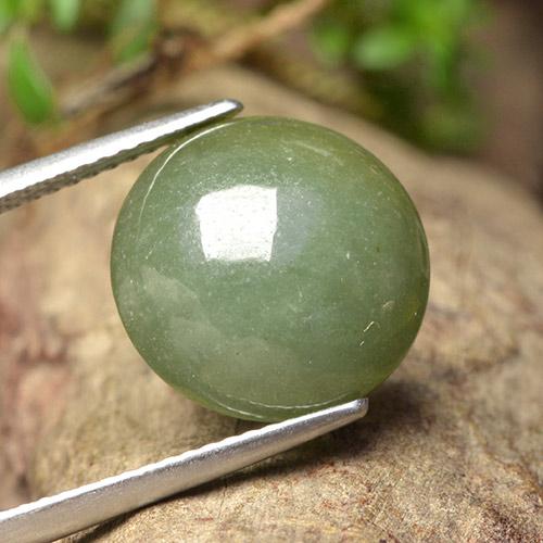Jadeíta verde natural 9,18ct, corte redondo, translúcido