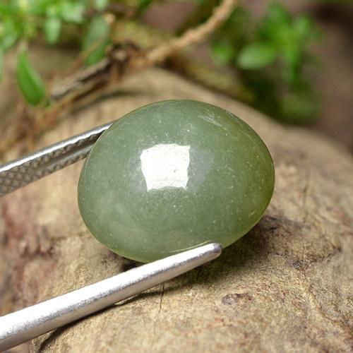 Jadeíta verde natural 9,18ct, corte redondo, translúcido