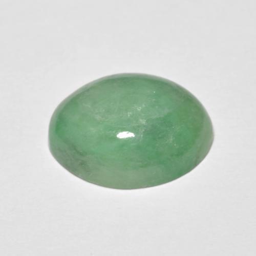 Jadeíta verde natural 5,09ct, corte oval, opaco