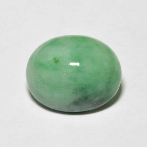 Jadeíta verde natural 4,94ct, corte oval, opaco