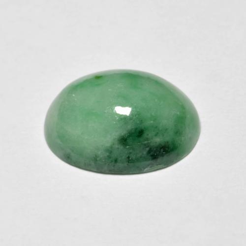 Jadeíta verde natural 4,94ct, corte oval, opaco