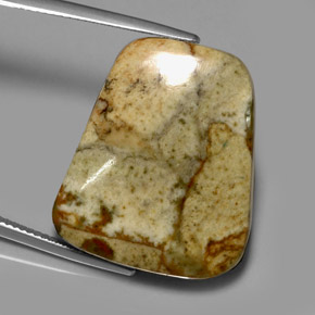 Jaspe multicolorido natural 33,84ct, forma extravagante, translúcido