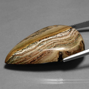 Jaspe multicolorido natural 66,36ct, formato de pêra, opaco