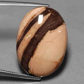 Jaspe multicolorido natural 27,00ct, corte oval, opaco