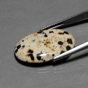 Jaspe Multicolorido Natural 12.82ct, Corte Oval, Opaco