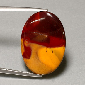 Jaspe Multicolorido Natural 12.49ct, Corte Oval, Opaco