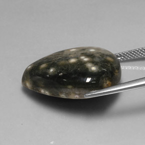 Jaspe multicolorido natural 24,92ct, formato de pêra, opaco
