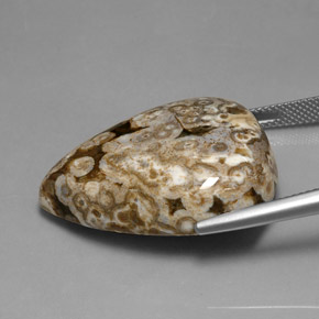 Jaspe multicolorido natural 41,91ct, formato de pêra, opaco