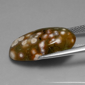 Jaspe multicolorido natural 10,86ct, corte oval, opaco
