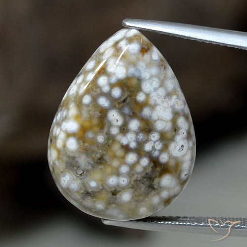 23.63ct Natural Multicolorido Jaspe, Formato de pêra, Opaco