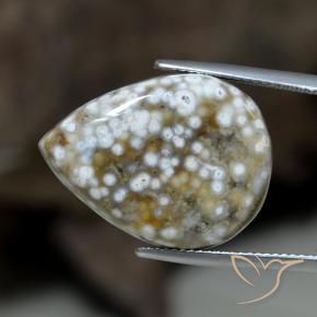 Jaspe Multicolorido Natural 23.63ct, Formato de pêra, Opaco