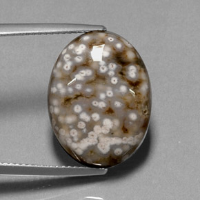 Jaspe multicolorido natural 13,68ct, corte oval, opaco